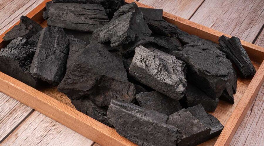 Activated Charcoal: Nature's Defense Against Stomach Bugs