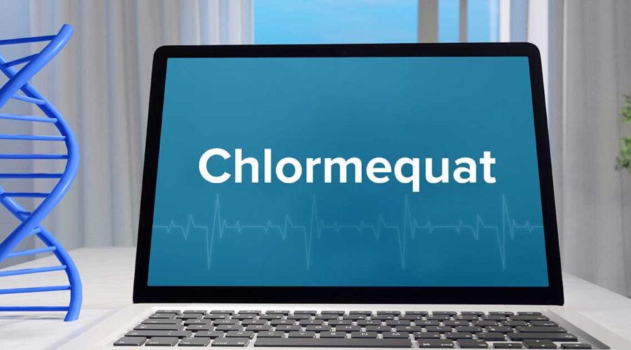 Chlormequat Chloride: Unmasking a Hidden Threat